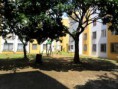 /album/fotogaleria-oasis-2013/a1317902352-261276656-2-fotos-de-apartamento-en-oasis-del-limonar-jpg/
